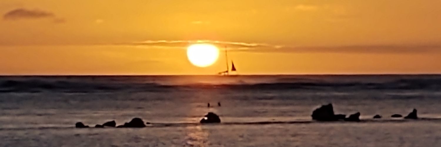 maili526's profile banner image