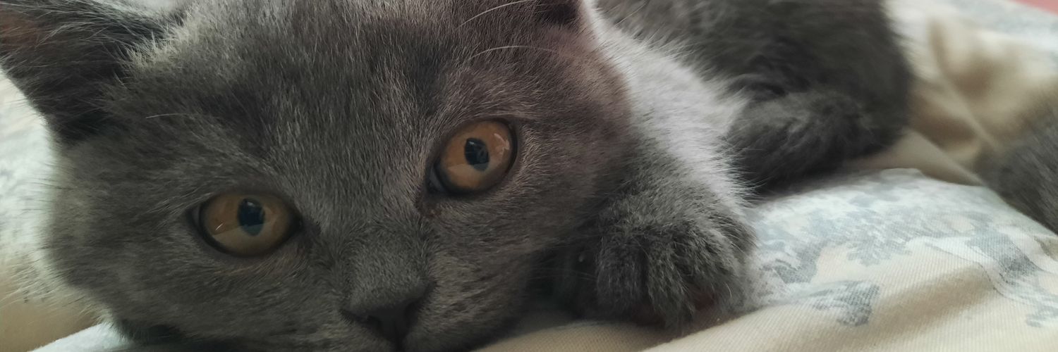 fotoncuk's profile banner image