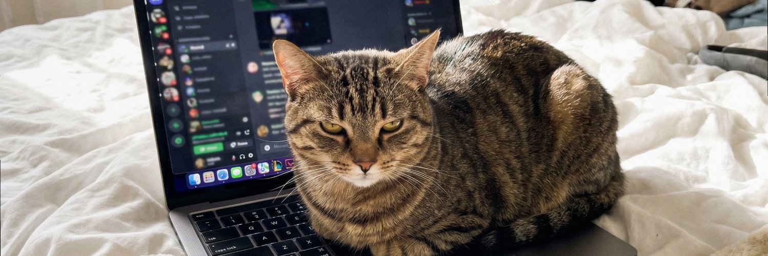 chubinot's profile banner image