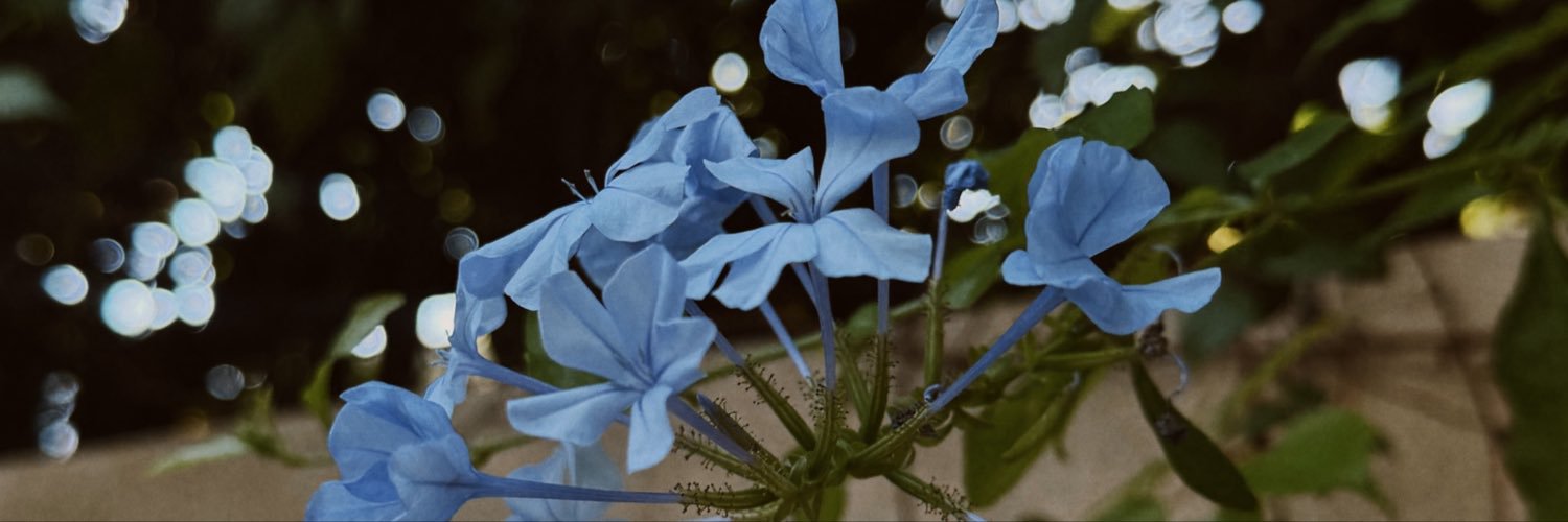 natcampostr's profile banner image