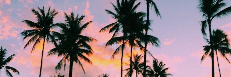 mccoym_k's profile banner image