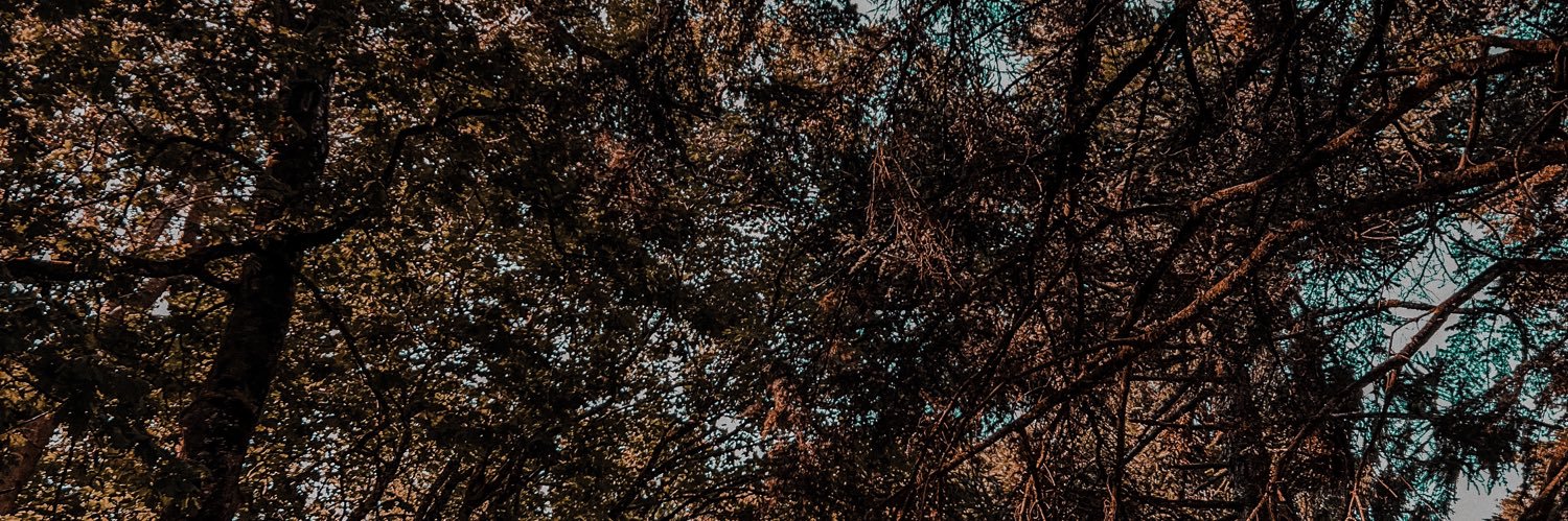 ferchobrand's profile banner image