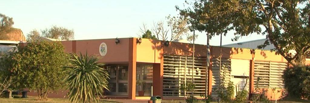 municipio Progreso banner