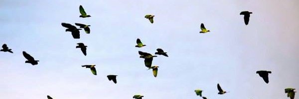 JenniferDwight_ Profile Banner