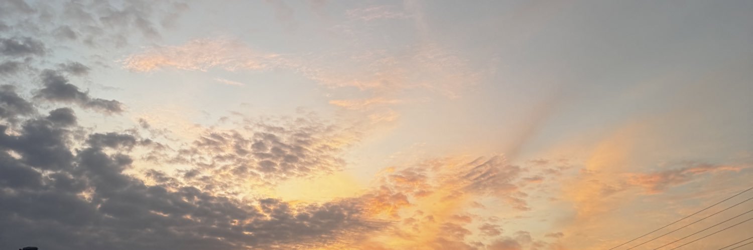 catarinandrade_'s profile banner image