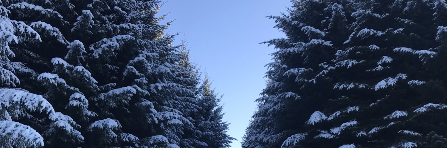aimeewhite3's profile banner image
