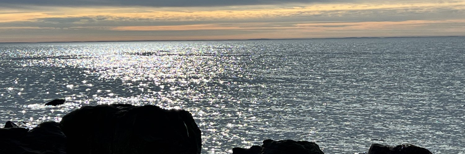 Mevis0130's profile banner image
