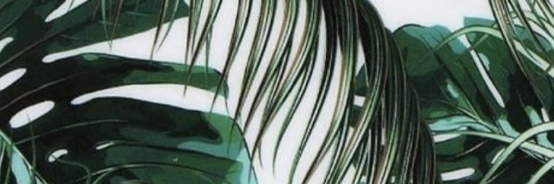 mackaylaredden's profile banner image