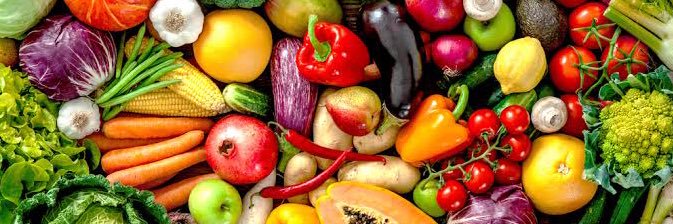 Adriana Cruxen banner