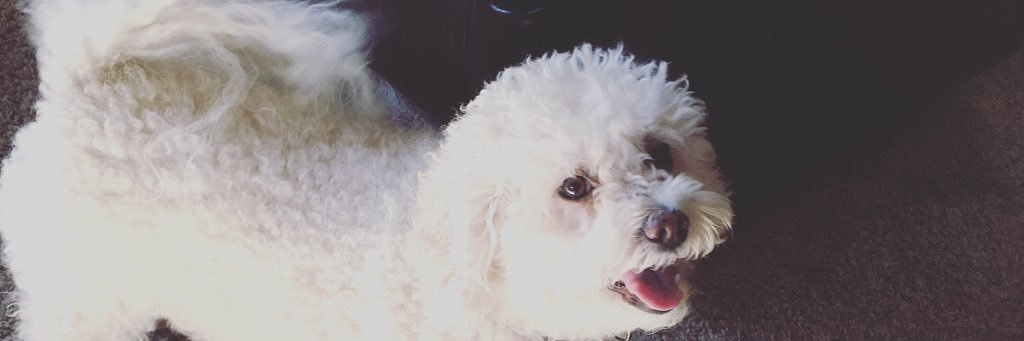 StephNicoleHuff's profile banner image