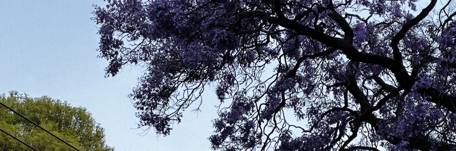 21Edwolf's profile banner image