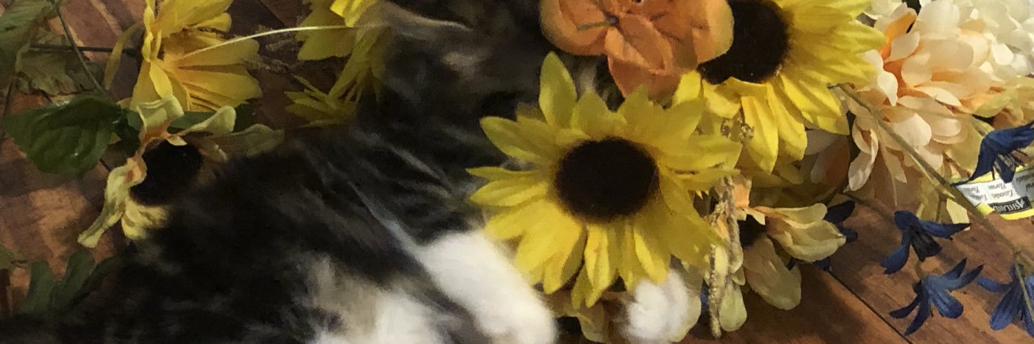 APunkPrayer's profile banner image