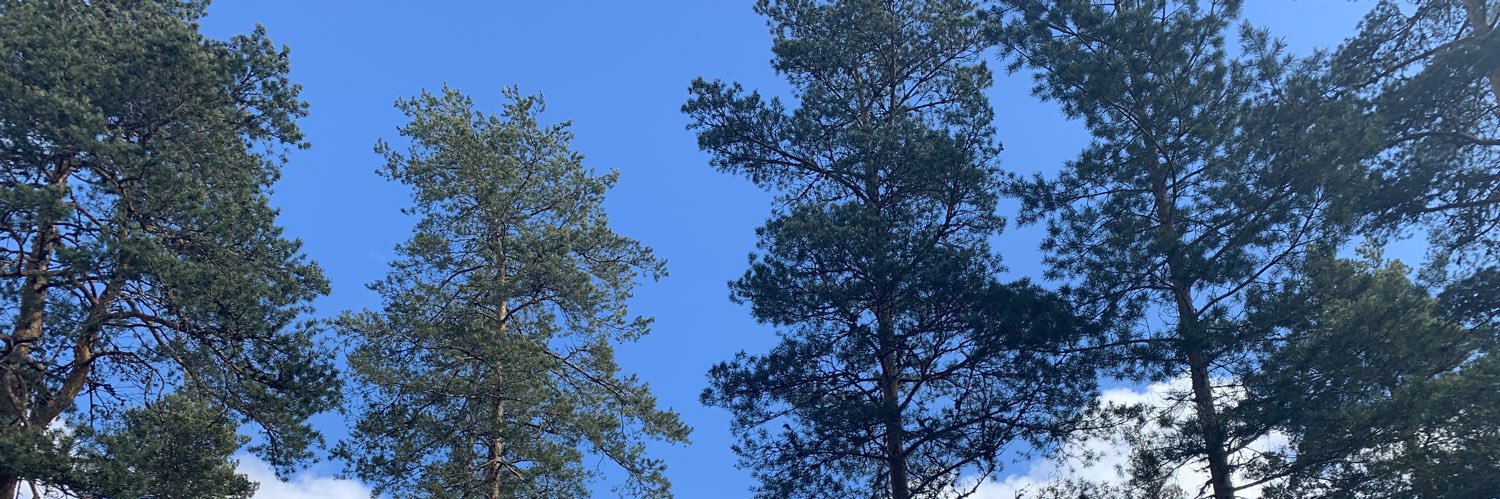 KariAasberg's profile banner image