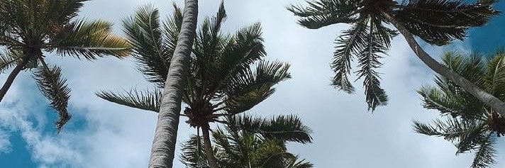 NNeesaOliveira's profile banner image