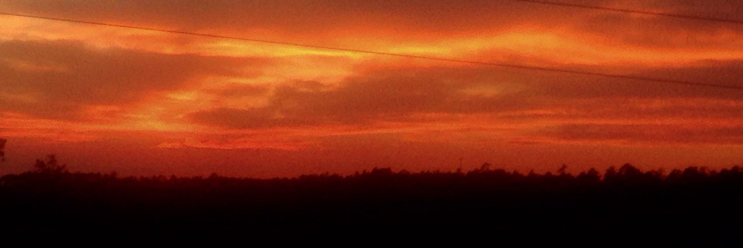 cnorris24's profile banner image