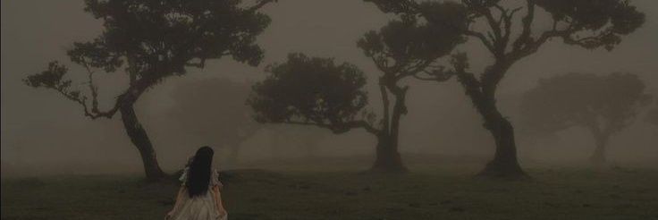 mewflws's profile banner image