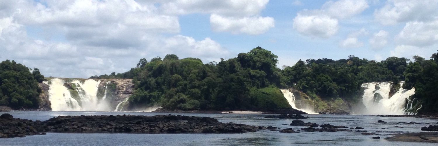 Freddy J. Ferro banner