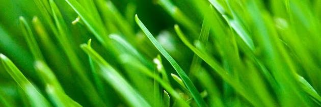 richardcdunn's profile banner image