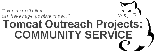 EA Community Service banner