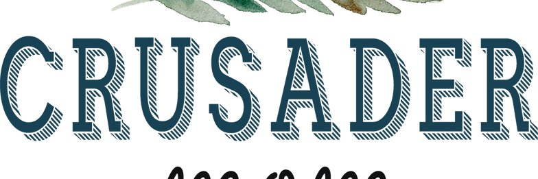 CrusaderMOM_Lib's profile banner image
