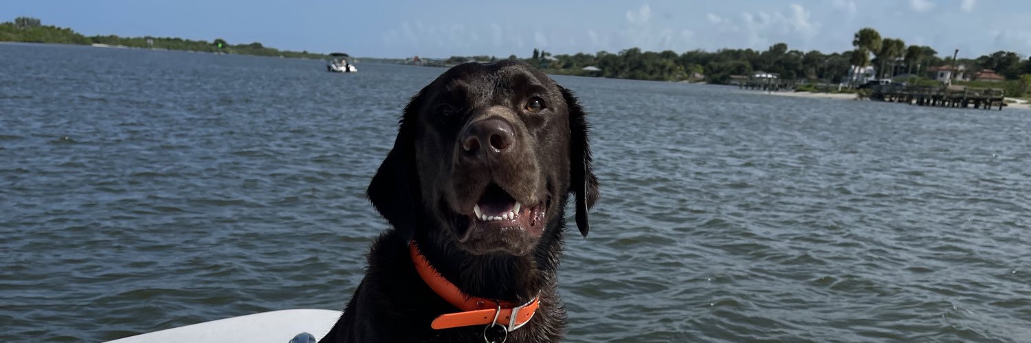 laurennhahn's profile banner image