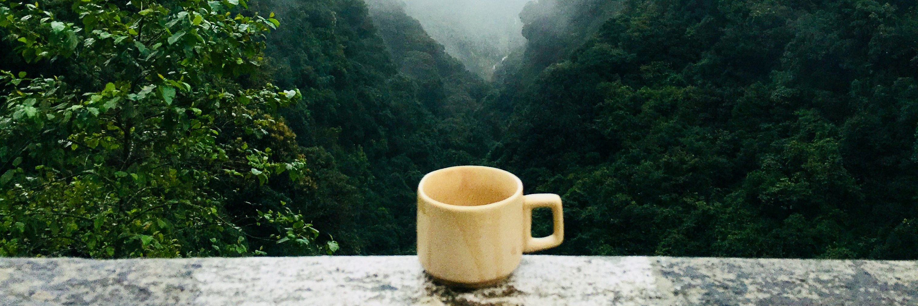 Tanner Koomar banner