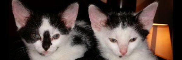 Twm1958 Profile Banner