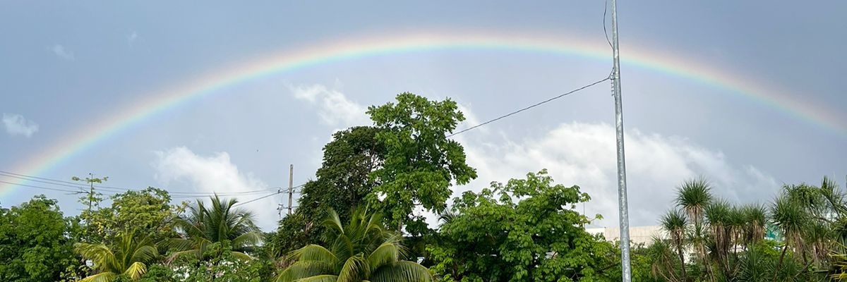 Gracieelaa's profile banner image