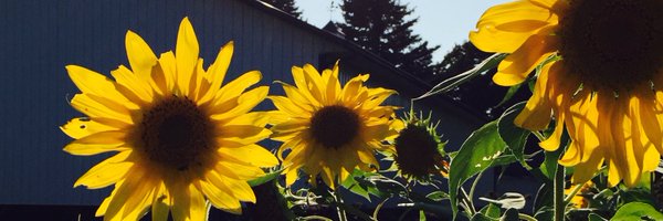 MLowrance2002 Profile Banner