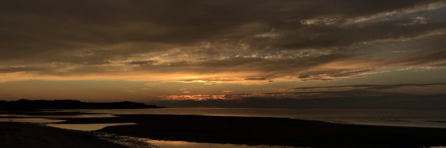 m banner
