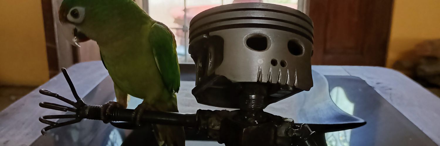 ingmecaut's profile banner image