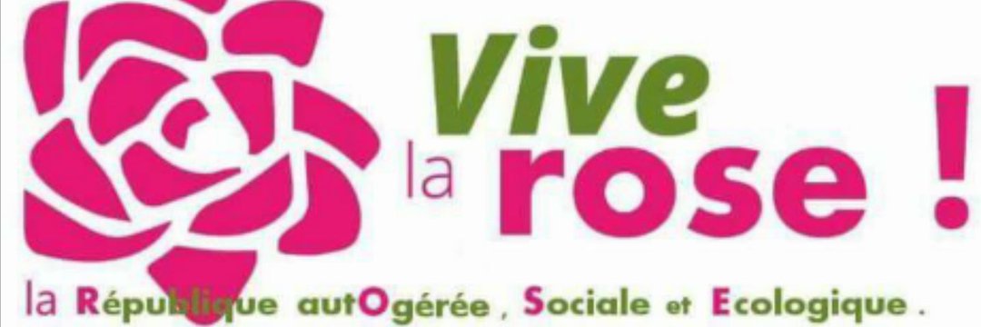Vivela_ROSE's profile banner image