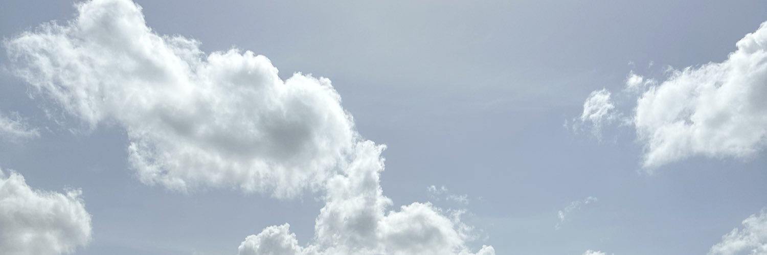 LilyMateo's profile banner image