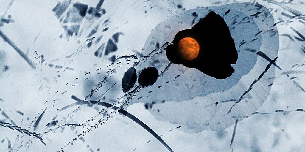 comdocpics's profile banner image