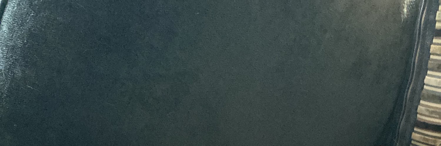 ginger_tweets93's profile banner image