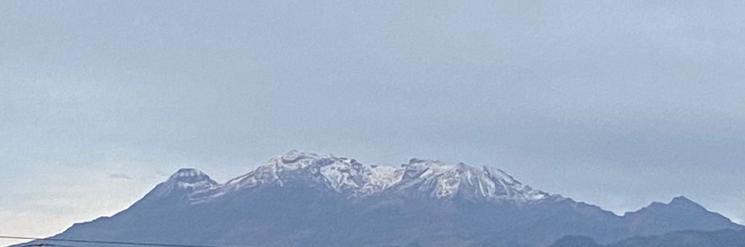 LizMk1's profile banner image