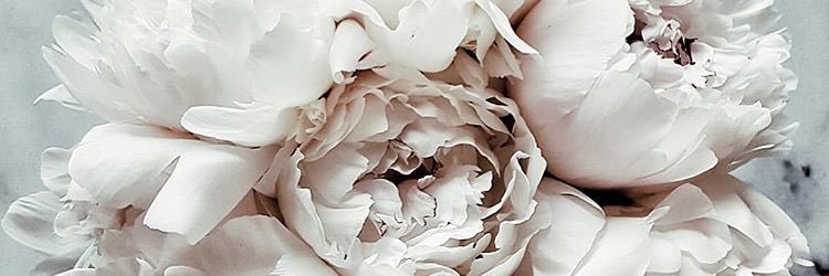 Mariaajuarez17's profile banner image