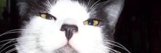 AforizmaMerkezi's profile banner image