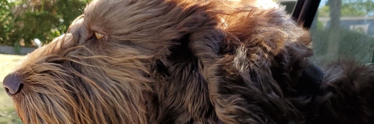 baylee3johnson's profile banner image
