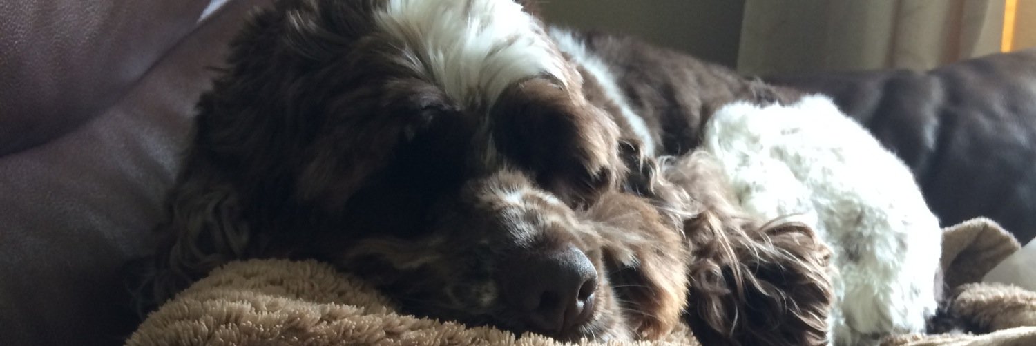 HeatherChretien's profile banner image