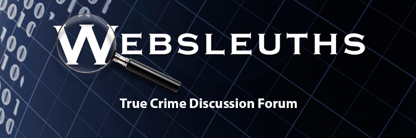 Websleuths banner