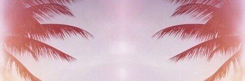 teresazesati's profile banner image
