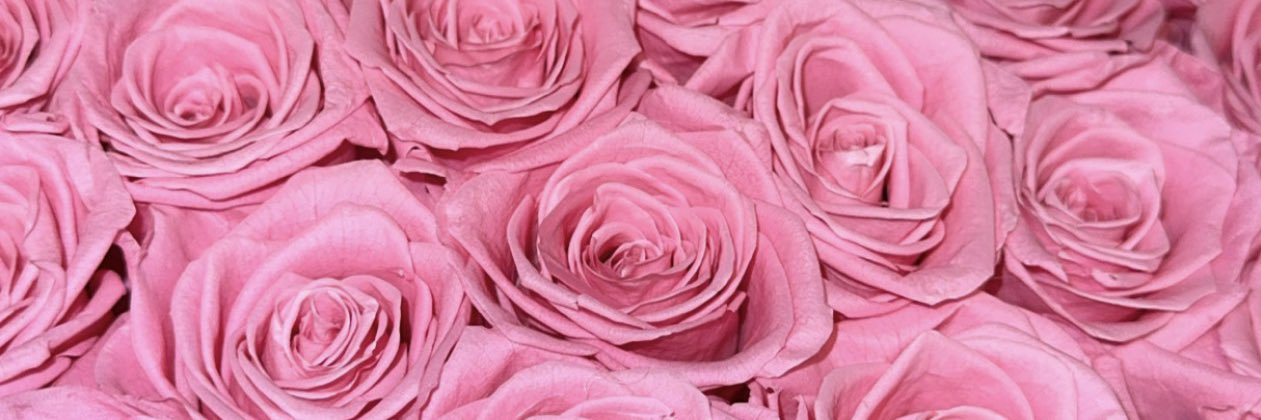 Shenikaa_'s profile banner image