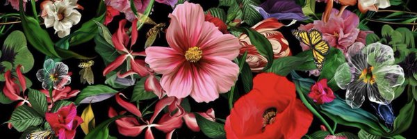 Cintlii Profile Banner