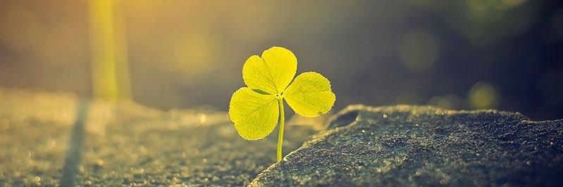 MinhTonX's profile banner image
