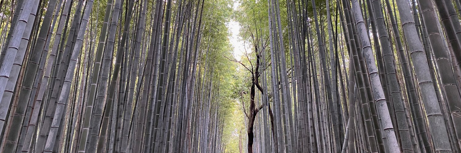 Ryan McIntyre banner