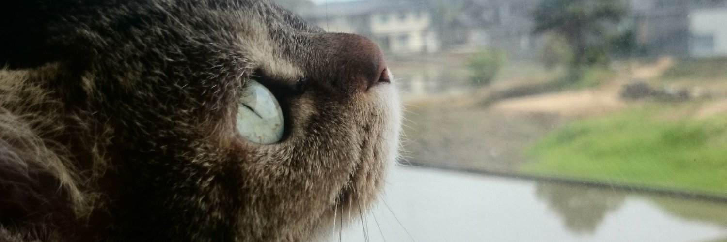 G-NNNNN®︎地下鉄廃人 banner