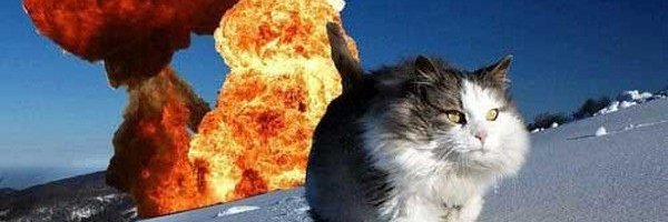 relayerbob's profile banner image
