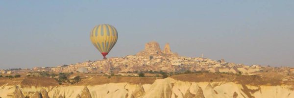 Rallinator Profile Banner