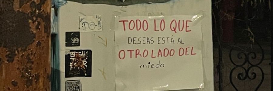 Cóndor ganso banner